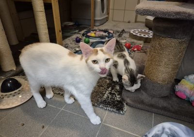 Artemis und Aramis