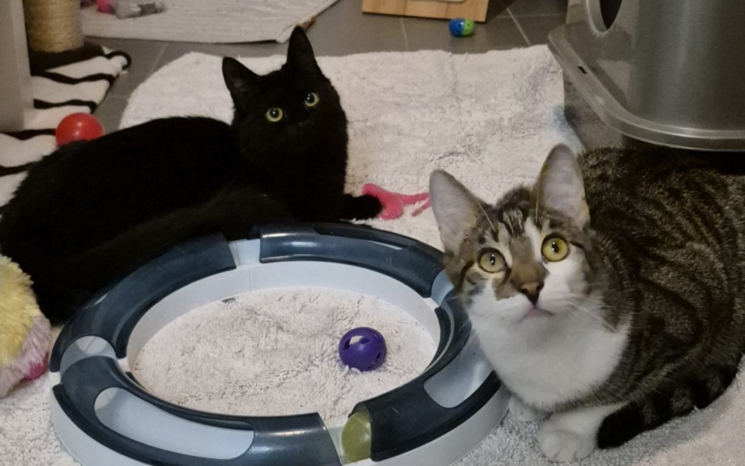 Chantal und Chico