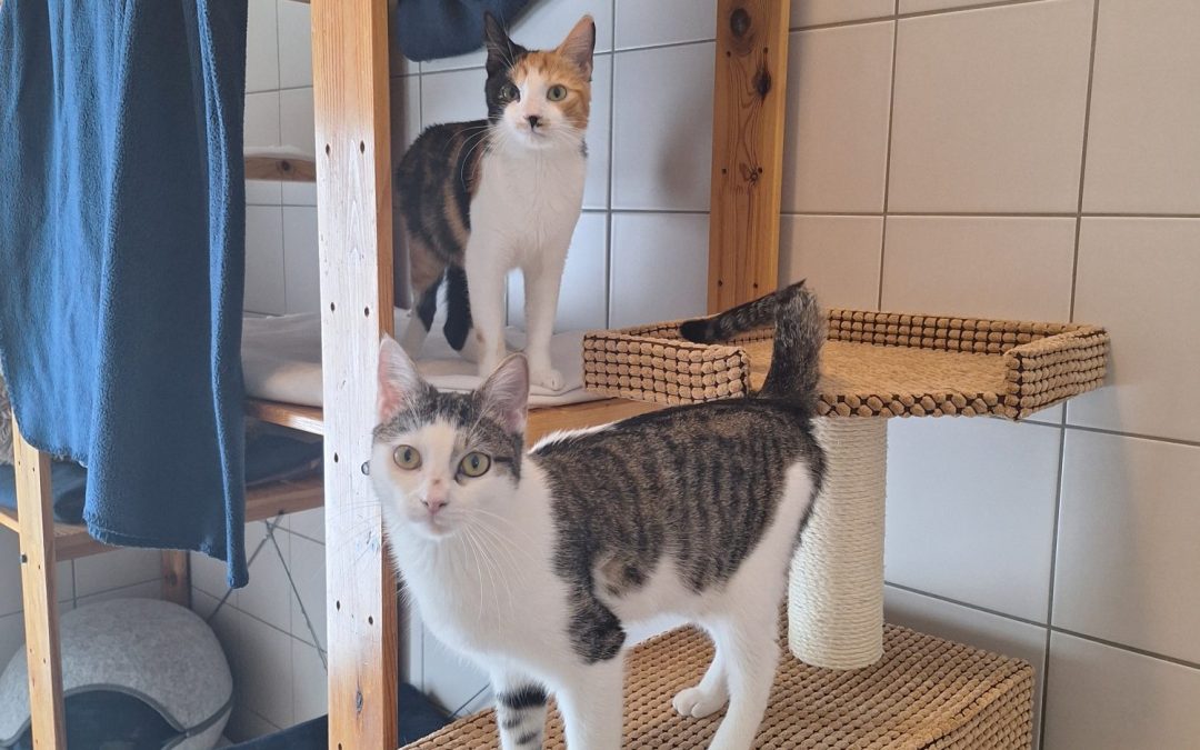 Vicky und Violett