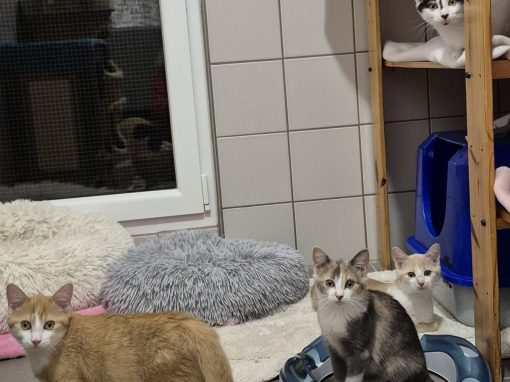 Unsere „M’s“