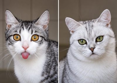 Nala & Nikolai