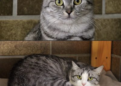 Maxima & Maya