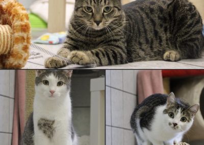 Unsere N´s