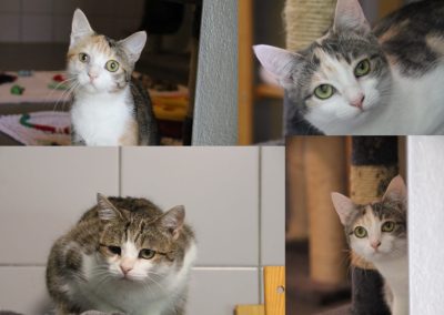 Ronja und ihre Kinder